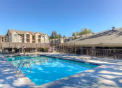 Thumbnail 23 of 29 - Year Round Outdoor Pool and Spa