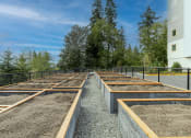 Thumbnail 17 of 25 - Outdoor Garden Plots