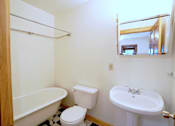 Thumbnail 11 of 39 - 225 Place, Bathroom, Loring Park, Minneapolis, Minnesota