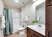 Thumbnail 17 of 56 - Amber Union Bathroom, Falcon Heights, Minnesota