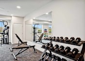 Thumbnail 38 of 43 - a gym with weights and a mirror in a home gym
