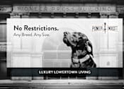 Thumbnail 50 of 68 - Pioneer Apartments, St Paul - PET FRIENDLY!
