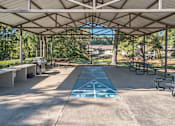 Thumbnail 13 of 14 - A shaded outdoor area with a blue painted line in the middle.