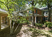 Thumbnail 17 of 24 - the front yard of a house with trees and a pathway