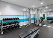 Thumbnail 50 of 67 - A gym with a bench, weights, and exercise equipment.