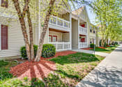 Thumbnail 8 of 17 - A tree with a red mulch circle around it in front of a two story apartment building.