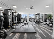 Thumbnail 22 of 25 - A spacious gym with a variety of equipment and a large mirror on the wall.