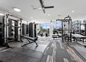 Thumbnail 23 of 25 - A gym with a variety of equipment including a squat rack, bench, and weight machines.