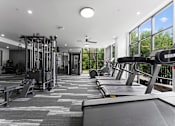 Thumbnail 24 of 25 - A gym with treadmills, weights, and a fan.