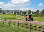 Thumbnail 18 of 21 - A golf cart is driving down a path in a grassy area.