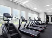 Thumbnail 20 of 35 - four rows of cardio equipment in a gym with large windows at The Enclave at Deer Moss Creek, Niceville, 32578