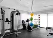Thumbnail 5 of 33 - a home gym with exercise equipment and a colorful ball on the ceiling