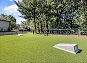 Thumbnail 36 of 50 - A dog park with a green surface and a few trees.