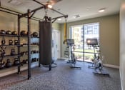 Thumbnail 20 of 40 - A gym with a punching bag, weights, and exercise bikes.