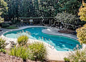 Thumbnail 21 of 50 - A swimming pool surrounded by trees and plants.