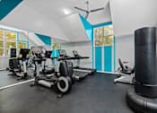 Thumbnail 51 of 67 - A gym with a row of treadmilers and elliptical machines.