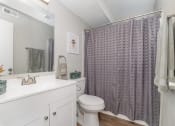 Thumbnail 14 of 43 - a bathroom with a shower and a toilet and a sink at Village 1373, Greensboro