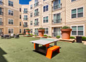Thumbnail 13 of 60 - Courtyard View at Proximity at ODU, Virginia, 23508