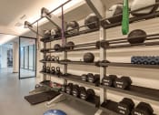 Thumbnail 48 of 56 - 24-Hour Fitness Center With Free Weights at Residences at Richmond Trust, Richmond