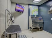 Thumbnail 20 of 55 - Pet Wash Center at The Lincoln Apartments, Raleigh, NC, 27601