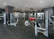 Thumbnail 20 of 46 - a large fitness room with cardio equipment and weights