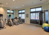 Thumbnail 28 of 36 - Fitness_Center_Dunfield_03