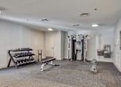 Thumbnail 31 of 33 - A gym with a variety of equipment including dumbbells, a bench, and a weight rack.