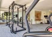 Thumbnail 30 of 35 - A gym with a variety of equipment including a squat rack and a bench.