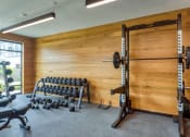 Thumbnail 6 of 81 - a gym with weights and a weights rack and a wall with a door at Ainsworth, Virginia