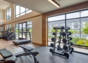 Thumbnail 61 of 81 - a gym with weights and other exercise equipment and large windows at Ainsworth, Richmond, Virginia