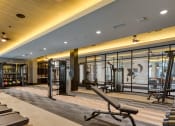Thumbnail 17 of 38 - a gym with treadmills and weights in a building with glass walls at Aura Stonebridge, Richmond, VA