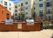 Thumbnail 8 of 60 - grills in outdoor kitchen at Proximity at ODU, Norfolk