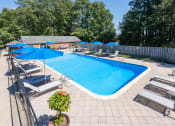 Thumbnail 17 of 32 - a swimming pool with chairs and umbrellas and a resort style pool