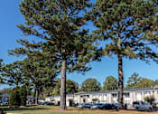 Thumbnail 1 of 22 - Two trees in front of apartment buildings.