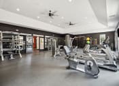 Thumbnail 17 of 57 - a gym with weights and cardio equipment on the floor and a ceiling fan at Shellbrook, North Carolina, 27609