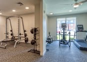 Thumbnail 28 of 40 - A spacious gym with a variety of equipment including a treadmill, weights, and a bench press.