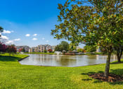 Thumbnail 1 of 78 - Lake at Latitudes Apartments in Virginia Beach VA 23454