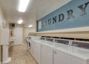 Thumbnail 15 of 21 - A row of washing machines in a laundry room.
