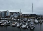 Thumbnail 3 of 47 - a harbor full of boats with buildings in the background at The Port at East Beach Apartments and Marina, Virginia, 23518