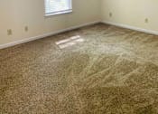 Thumbnail 10 of 13 - A room with a window and a carpeted floor.