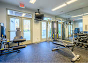 Thumbnail 16 of 20 - A gym with a variety of equipment including a bench press, a squat rack, and a rowing machine.