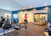 Thumbnail 15 of 20 - A gym with a row of exercise bikes and a treadmill.