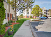 Thumbnail 6 of 36 - A view of a street with apartment buildings and cars.