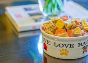 Thumbnail 49 of 71 - bowl of dog treats 