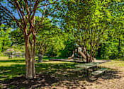 Thumbnail 25 of 31 - A park with a picnic table and trees.