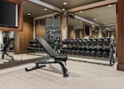 Thumbnail 20 of 52 - a gym with weights and a tv on the wall
