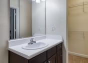 Thumbnail 45 of 60 - bathroom and walk in closet at Proximity at ODU, Norfolk, Virginia