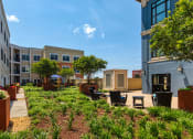 Thumbnail 63 of 71 - Roof_Top_Patio