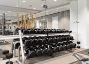 Thumbnail 7 of 9 - a row of weights in a gym with mirrors on the wall
