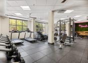 Thumbnail 16 of 55 - a gym with treadmills and other exercise equipment and windows at The Lincoln in Raleigh, 27601